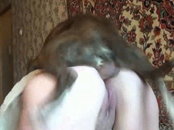 Cachorro Estuprando Mulher Fodendo O Cu Dela Com Violência