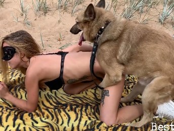 Cachorro Vira Lata Caramelo Fazendo Sexo Com Um Novinha