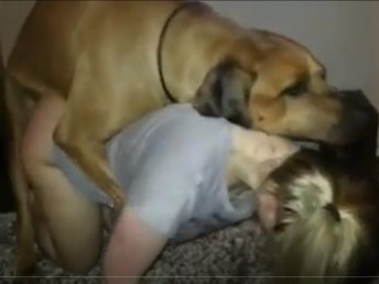 Marido Filma Com Celular Novinha Tentando Sexo Com Cachorro