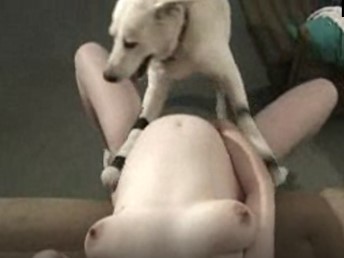 Marido Gravando Esposa Gravida Fazendo Sexo Com Cachorro